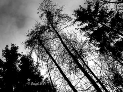 Great Love Song - Dj Crystal - Last Night (Son-D-Lyte)