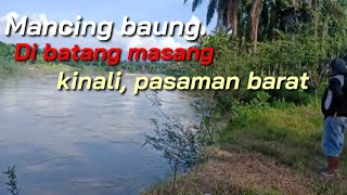 Download lagu mancing baung || Batang masang mp3