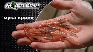 Криль сухой молотый для рыбалки