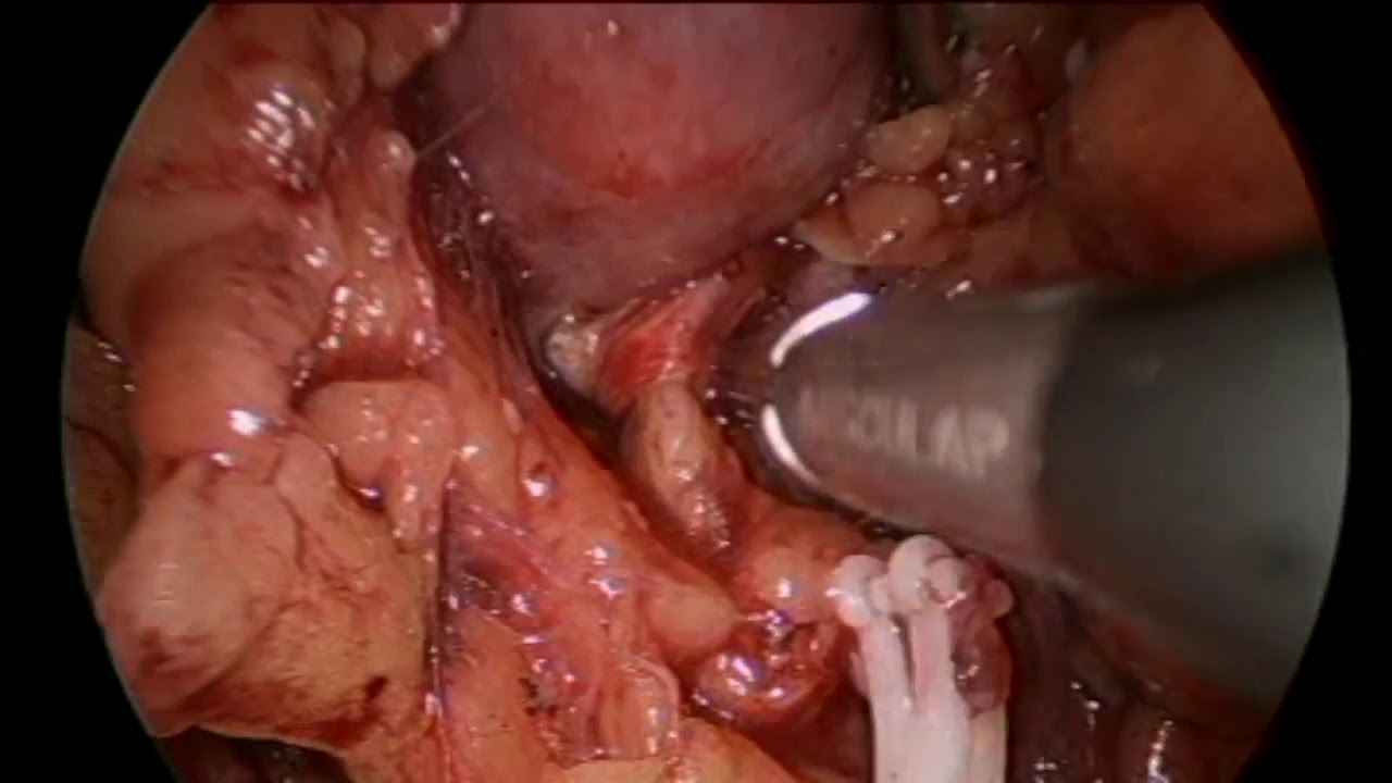 Alfonso José Fernández Carreño-10