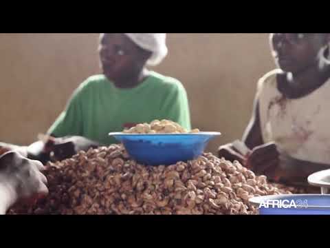 , title : 'Côte d'Ivoire, Nouvelle usine de transformation de noix de cajou'