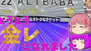 【ゆっくり実況】とうとうレベルアップ！レート上げに必要の知識が得られる...ともっていたのか?【チュウニズムpart５】