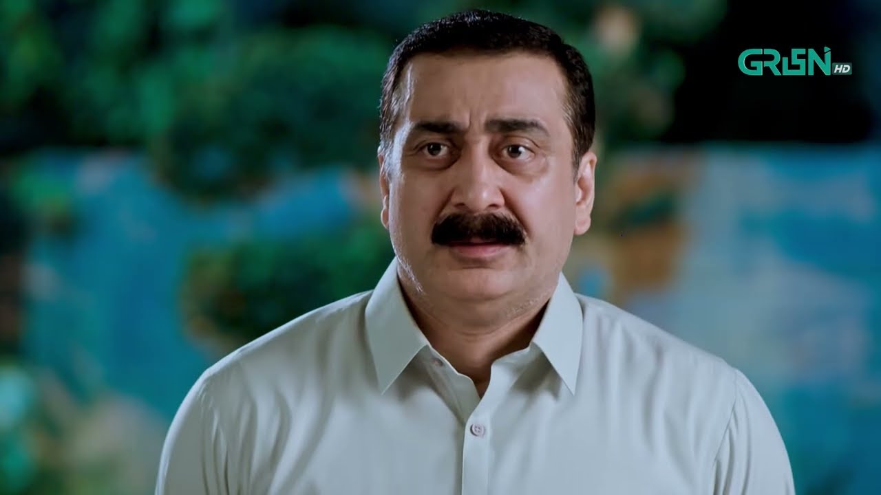 Visaal E Ishq Episode 23 | Best Moment 01 | Green TV Entertainment