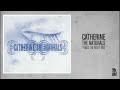 Catherine - Praise the Night Time
