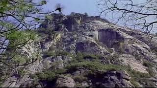 Re: [霹靂] 哪位人物的退場讓人最驚呆?