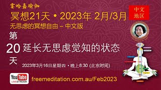 Video 20