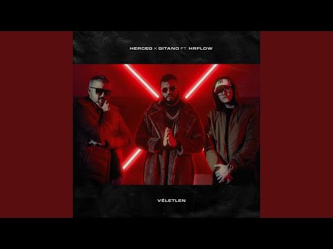 Véletlen (feat. HRflow) (Instrumental)