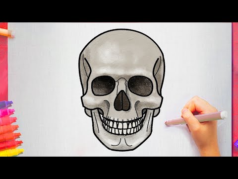 Comment Dessiner un Crâne Humain Facilement de Squelette - comment dessiner une tête de mort