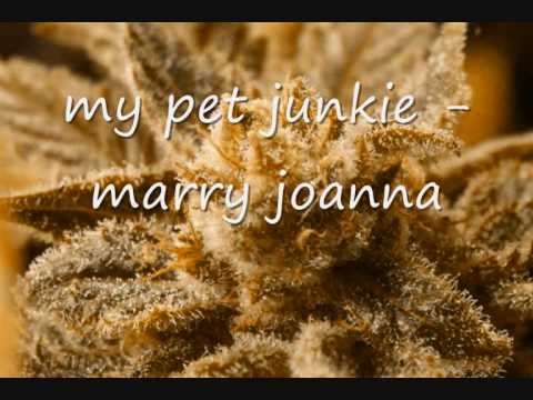 My Pet Junkie - Marry Joanna