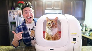 PEOPLE WITH ROBOTIC LITTER BOXES
