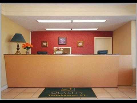 Quality Inn Tallahassee - Hotel in Tallahassee (Florida), United States