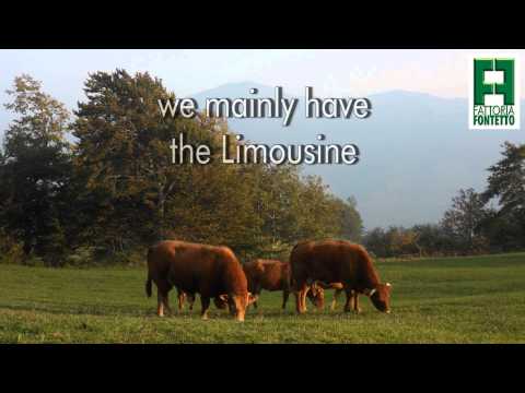 fattoria fontetto eng