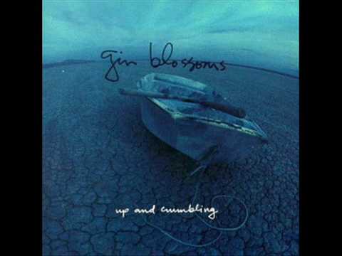 download lagu mp3 mp4 Gin Blossoms Up And Crumbling, download mp3 Gin Blossoms Up And Crumbling free download mp3, download mp3 Gin Blossoms Up And Crumbling