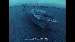 Gin Blossoms - Just South of Nowhere