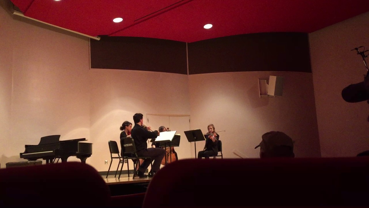 Hire Madison the Musician Violinist in Columbus, Ohio