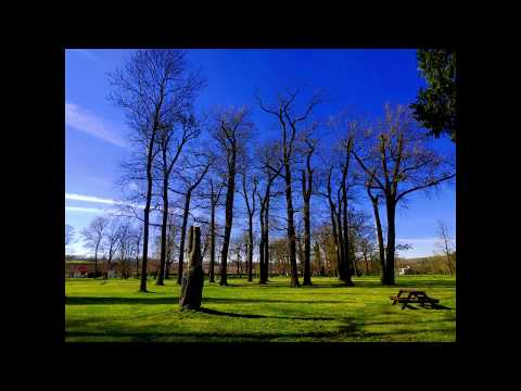 ZÁMECKÝ PARK ZDECHOVICE