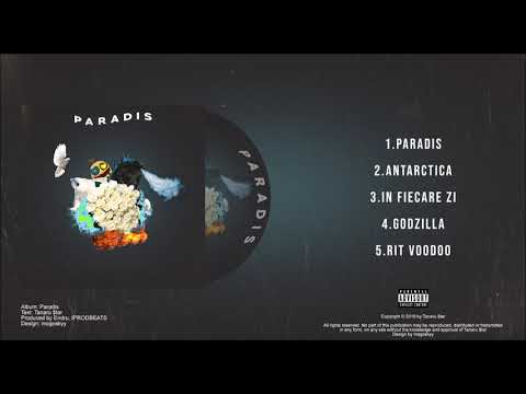 TANARUL $TAR, ENDRU - IN FIECARE ZI