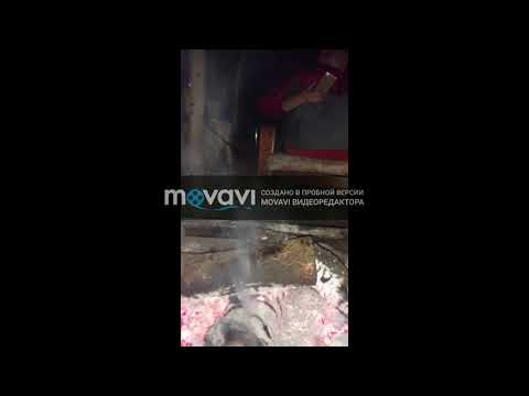 Новый проект 55