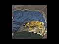 Shrek 2 Frog King 2004 VHS Capture 1