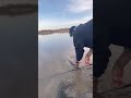 Video Thumbnail for River fishing/Lake sturgeon  #catchandrelease#short #riverfishing #shorts #fish