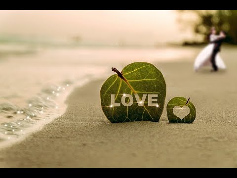 Nikola Stojsic (NS studios) and Aural Gypsy - Waves 🌊