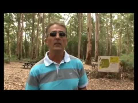 Duna World - Ot Kontinens