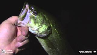 Caught A Few Bass After Dark