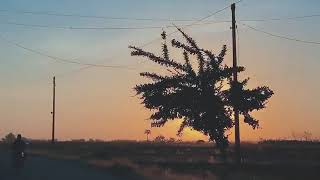 Download lagu [STORY WA KEREN TERBARU 2020] || LAGU AMERICA DREAMS || SUNSET KEREN mp3