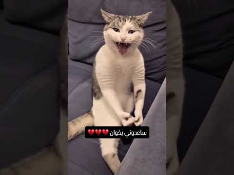 ساعدوني يخوان💔#shorts