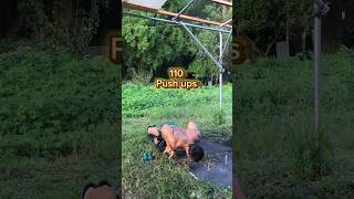 Download lagu Goal unlocked 110 push ups #pushupsdaily #bodyweightworkout #shorts mp3