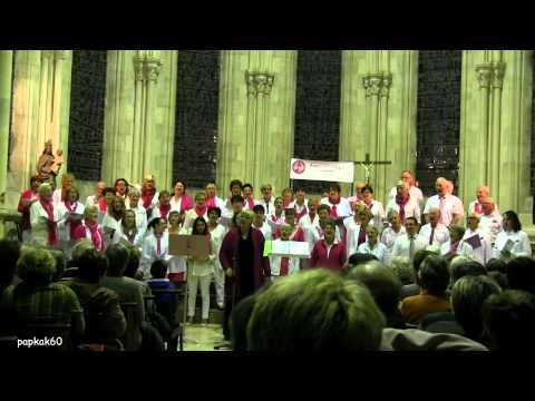 Appel Gospel ! - 1ère partie - Coutances, le 15 Novembre 2014