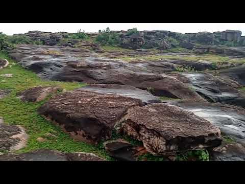 Vindhya range m p ,🌱 beautiful forest india