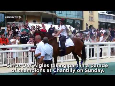 Cirrus Des Aigles parades at Chantilly