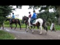 Green Hotel Pony Trekking