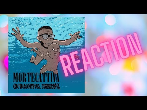 MORTECATTIVA - REAZIONE ALL'ALBUM PIU' TRASH DEL WEBBO