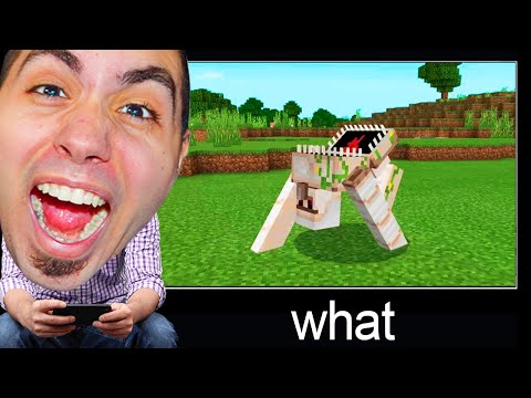 TRY NOT TO SAY IMPOSSIBLE IN MINECRAFT!!