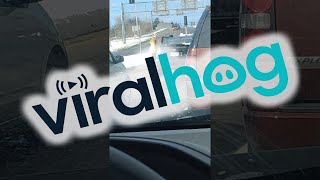 faze tari tipa o incaseaza