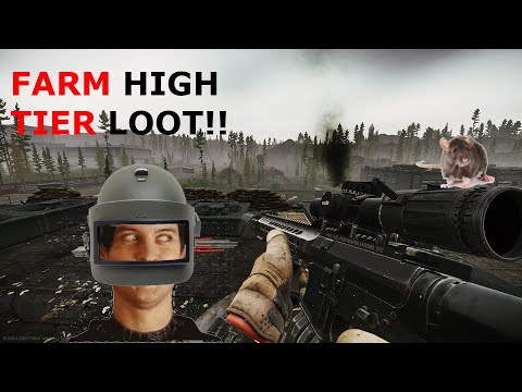 Amazing Lighthouse Rat spot!!