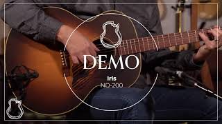 Iris ND-200 Burst, Mahogany | Lance Allen