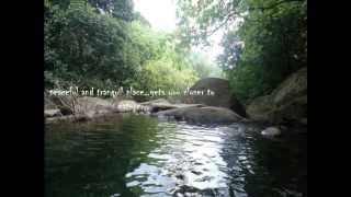 Kerala Tourism Video -Plan your Travel/holiday- Places to visit - Wayanad Attractions