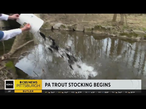 Pennsylvania Begins Trout Stocking