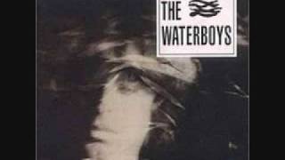 The Waterboys - Savage Earth Heart