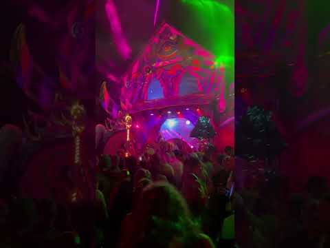 Rabbits Eat Lettuce 2025