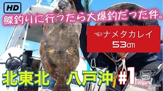 【船釣り】カレイ釣りが爆釣だった件【八戸】