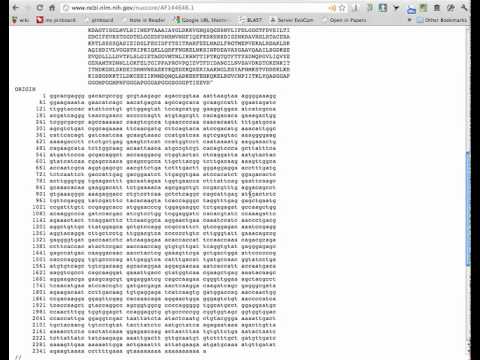 Using NCBI for Primer Design