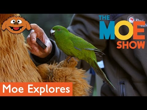 The Moe Show: Moe Explores — Wildlife Sanctuary