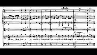 Mozart : Bastien und Bastienne (12) - Aria 'Er war mir sonst treu und ergeben'