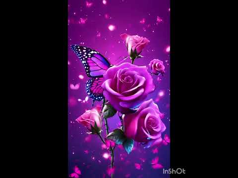 #Chiranjeev Vlog#Varities Beautiful Roses# 🌹 🌹 🌹#Viral#Shorts#2025#