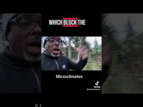 Microclimates #microclimate #andrethefarmer #gardening101 #foodforest #permaculture #gardeningtips