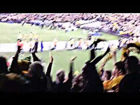 Robbie Kruse Goal Behind Goal View and Crowd Reaction..